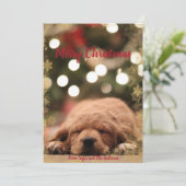 Frohe Weihnachten mit goldenem Schneeflockenrahmen (Stehend Vorderseite)