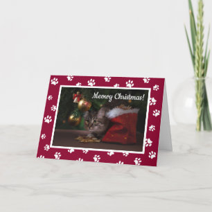 Frohe Weihnachten mit Mieze! Lustiges Katzenfoto m