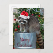 Frohe Weihnachten mit Raccoon Santa Scene (Vorne/Hinten)