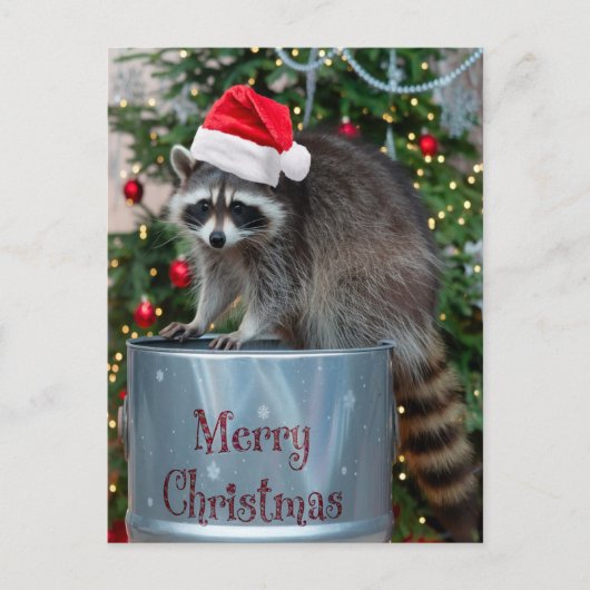 Frohe Weihnachten mit Raccoon Santa Scene (Vorderseite)