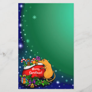Frohe Weihnachten mit Rat Prince