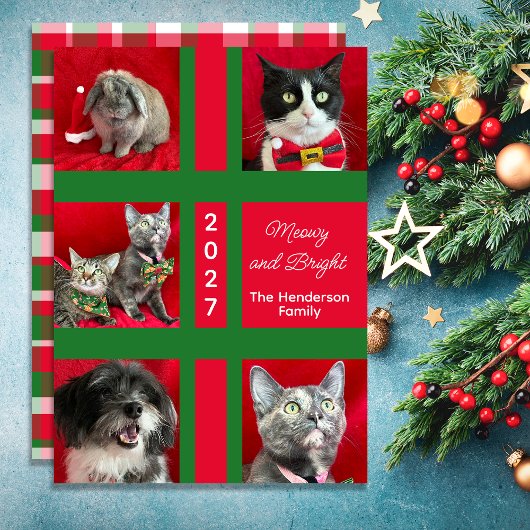 Frohe Weihnachten Multi Five Katzenfoto