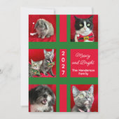 Frohe Weihnachten Multi Five Katzenfoto (Vorderseite)