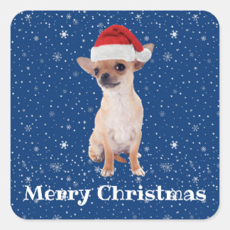Frohe Weihnachten Niedlich Chihuahua Santa 2 Quadratischer Aufkleber