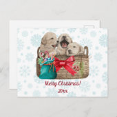 Frohe Weihnachten Niedlich Golden Retriever Welpen (Vorne/Hinten)