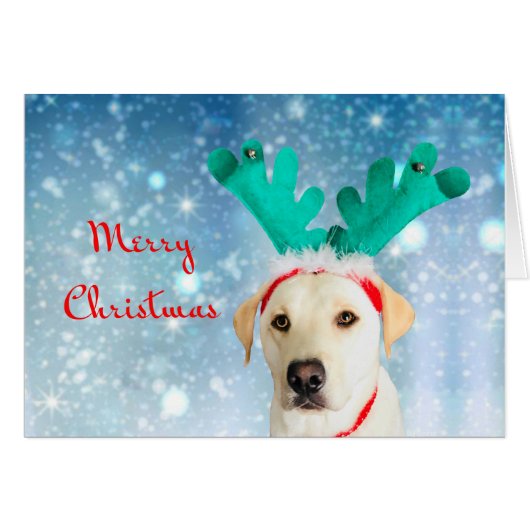 Frohe Weihnachten Niedlich Hunde Hund Labrador mit (Vorderseite (Horizontal))
