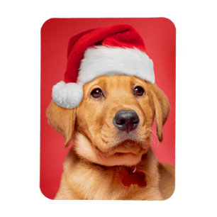 Frohe Weihnachten Niedlich Labrador Welpe in Weihn Magnet