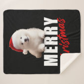 Frohe Weihnachten Niedlich Samoyed Welpe mit Weihn Sherpadecke (Vorderseite (Horizontal))