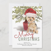 Frohe Weihnachten Niedlich Yorkshire Terrier Water (Vorderseite)