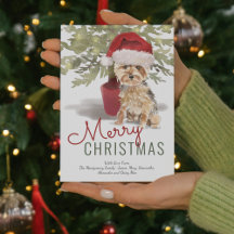 Frohe Weihnachten Niedlich Yorkshire Terrier Water