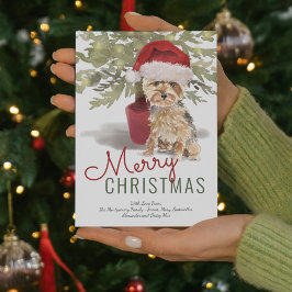 Frohe Weihnachten Niedlich Yorkshire Terrier Water