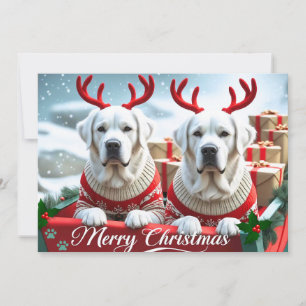 Frohe Weihnachten Niedliche Gelbe Labradore Person