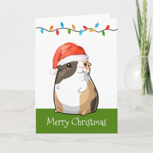 Frohe Weihnachten Niedliche Guinea Pig Santa