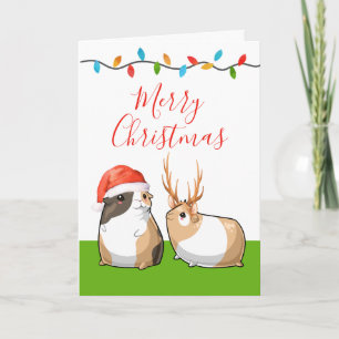 Frohe Weihnachten Niedliche Guinea Schweine Weihna