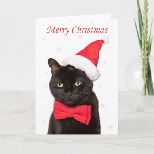 Frohe Weihnachten Niedliche Katze in Weihnachtsman (Vorderseite)