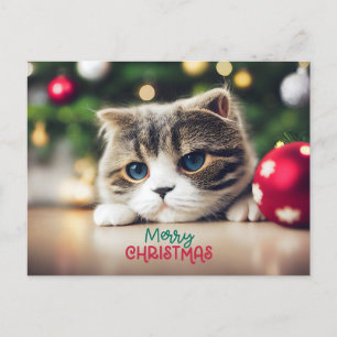 Frohe Weihnachten Niedliche Katze mit blauen Augen