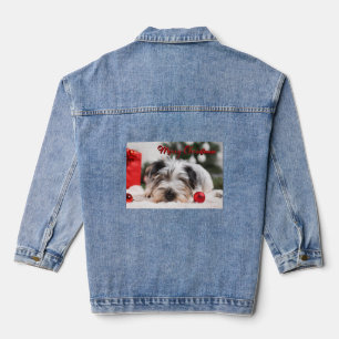 Frohe Weihnachten Niedlichen Haustier Hund Terrier Jeansjacke