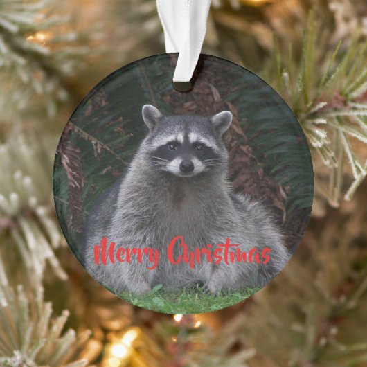 Frohe Weihnachten Niedlichen Wald Raccoon Ornament (Baum)
