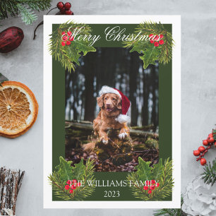 Frohe Weihnachten Niedlicher Hund Haustier Foto Wa
