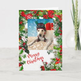 Frohe Weihnachten Niedlicher Hund mit Antlern anpa