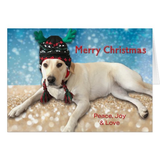 Frohe Weihnachten Niedlicher Labrador Hund Labrado (Vorderseite (Horizontal))