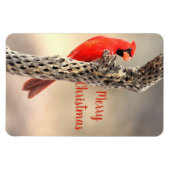 Frohe Weihnachten Nordischer Kardinal Magnet (Horizontal)