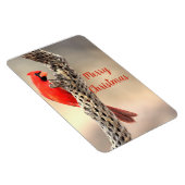 Frohe Weihnachten Nordischer Kardinal Magnet (Rechte Seite)