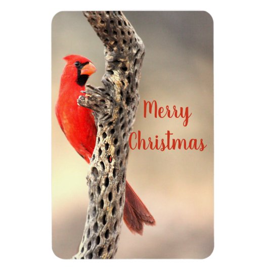 Frohe Weihnachten Nordischer Kardinal Magnet (Vertikal)