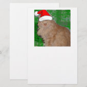 Frohe Weihnachten Orange Tabby Kitten Briefpapier (Vorne/Hinten)