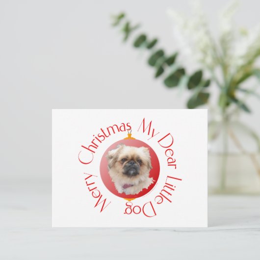 Frohe Weihnachten Pekingese (Stehend Vorderseite)