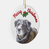 Frohe Weihnachten personalisieren Haustier Foto Vo Keramik Ornament (Rechts)