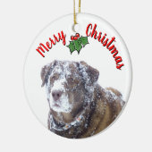 Frohe Weihnachten personalisieren Haustier Foto Vo Keramik Ornament (Links)