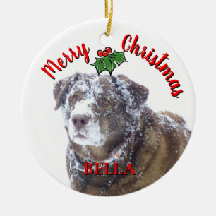 Frohe Weihnachten personalisieren Haustier Foto Vo Keramik Ornament