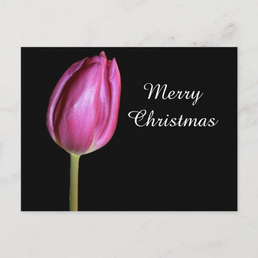 Frohe Weihnachten Pink Tulip Blume Foto Floral (Vorderseite)