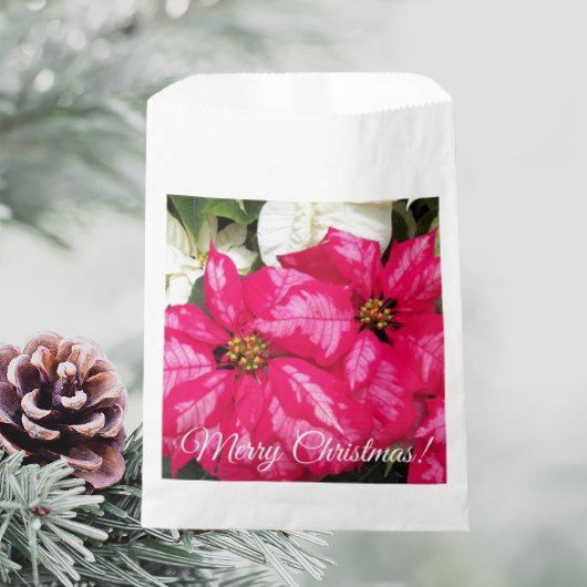 Frohe Weihnachten Pink Variegated Poinsettias Flor Geschenktütchen