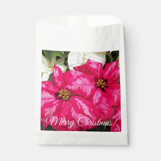 Frohe Weihnachten Pink Variegated Poinsettias Flor Geschenktütchen (Vorderseite)