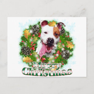 Frohe Weihnachten Pitbull