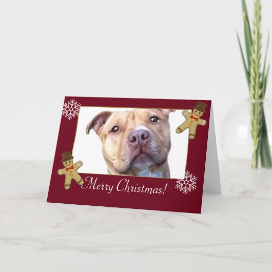 Frohe Weihnachten Pitbull Hund (Vorderseite)