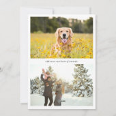 Frohe Weihnachten Poinsettia Foto (Rückseite)