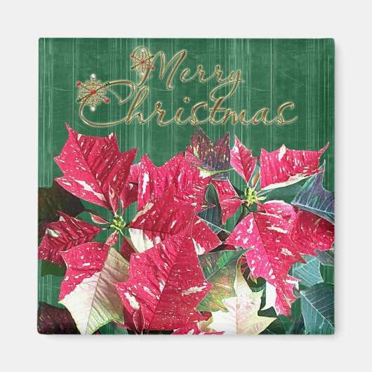 Frohe Weihnachten Poinsettia Magnet (Vorne)