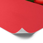 Frohe Weihnachten Poster (Ecke)