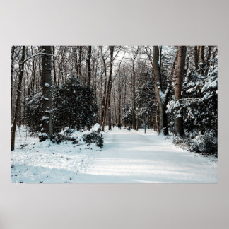 Frohe Weihnachten Poster