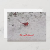 Frohe Weihnachten! Postkarte (Vorne/Hinten)