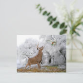 "Frohe Weihnachten" Postkarte (Stehend Vorderseite)