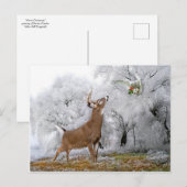 "Frohe Weihnachten" Postkarte (Vorne/Hinten)