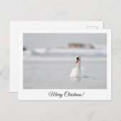 Frohe Weihnachten! Postkarte (Vorne/Hinten)