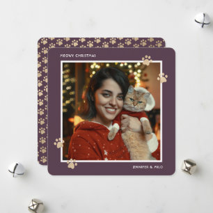 Frohe Weihnachten Purple Gold Katzenfoto