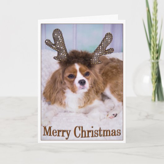 Frohe Weihnachten Raindeer Cavalier King Charles (Vorderseite)