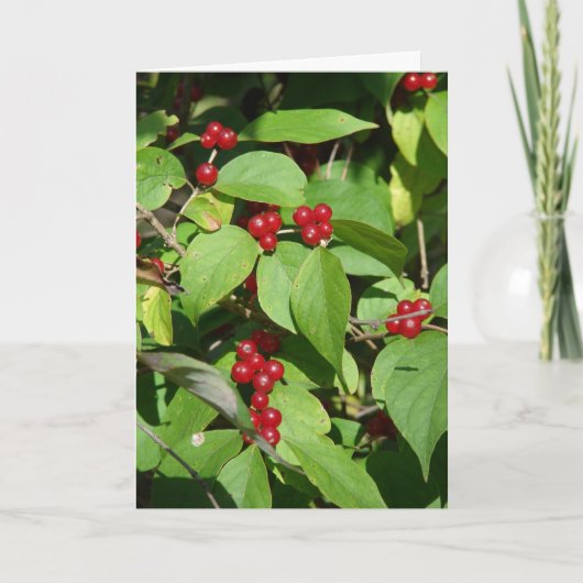 Frohe Weihnachten Red Berries (Vorderseite)