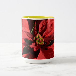 Frohe Weihnachten Rote Lockige Weihnachtsstern Zweifarbige Tasse
